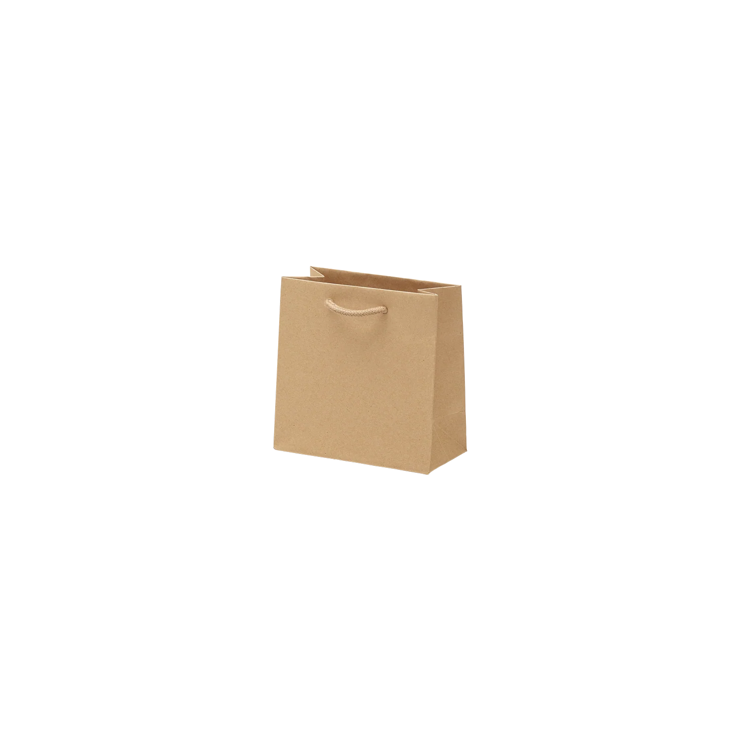 Luxe kraft papieren draagtas