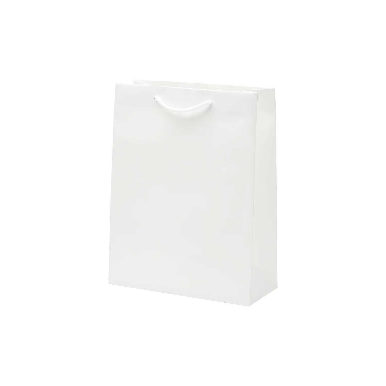 Luxe kraft papieren draagtas