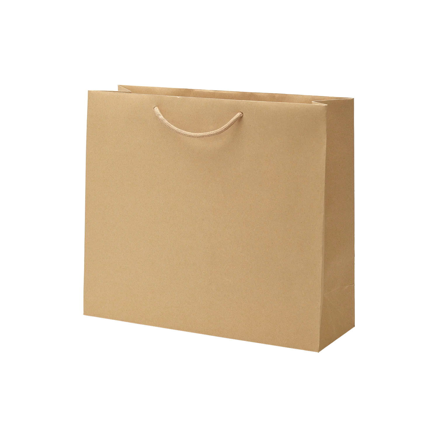 Luxe kraft papieren draagtas