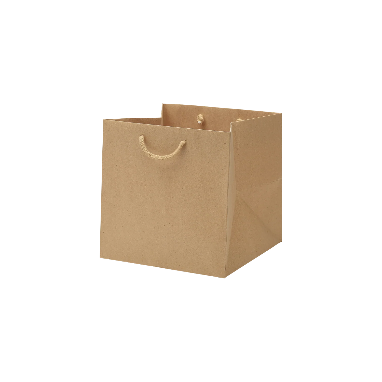 Luxe kraft papieren draagtas