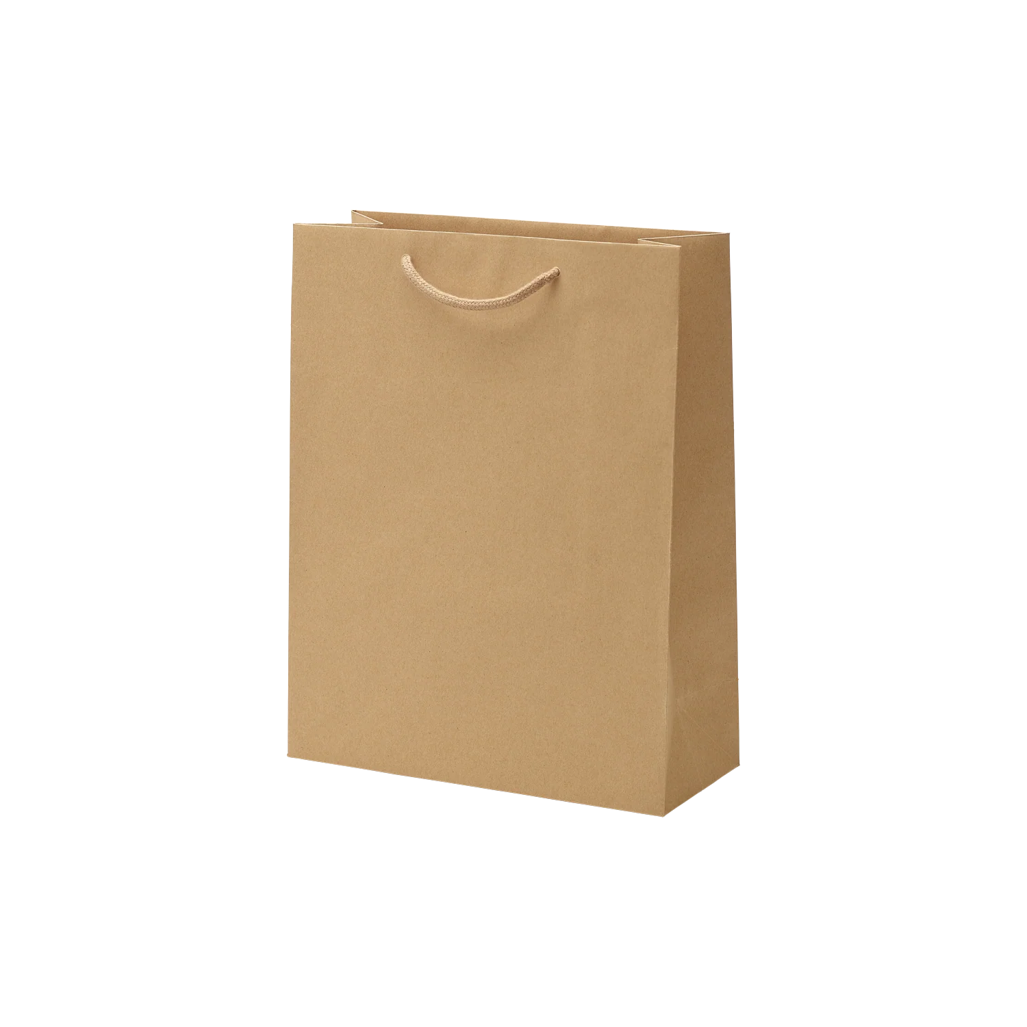 Luxe kraft papieren draagtas