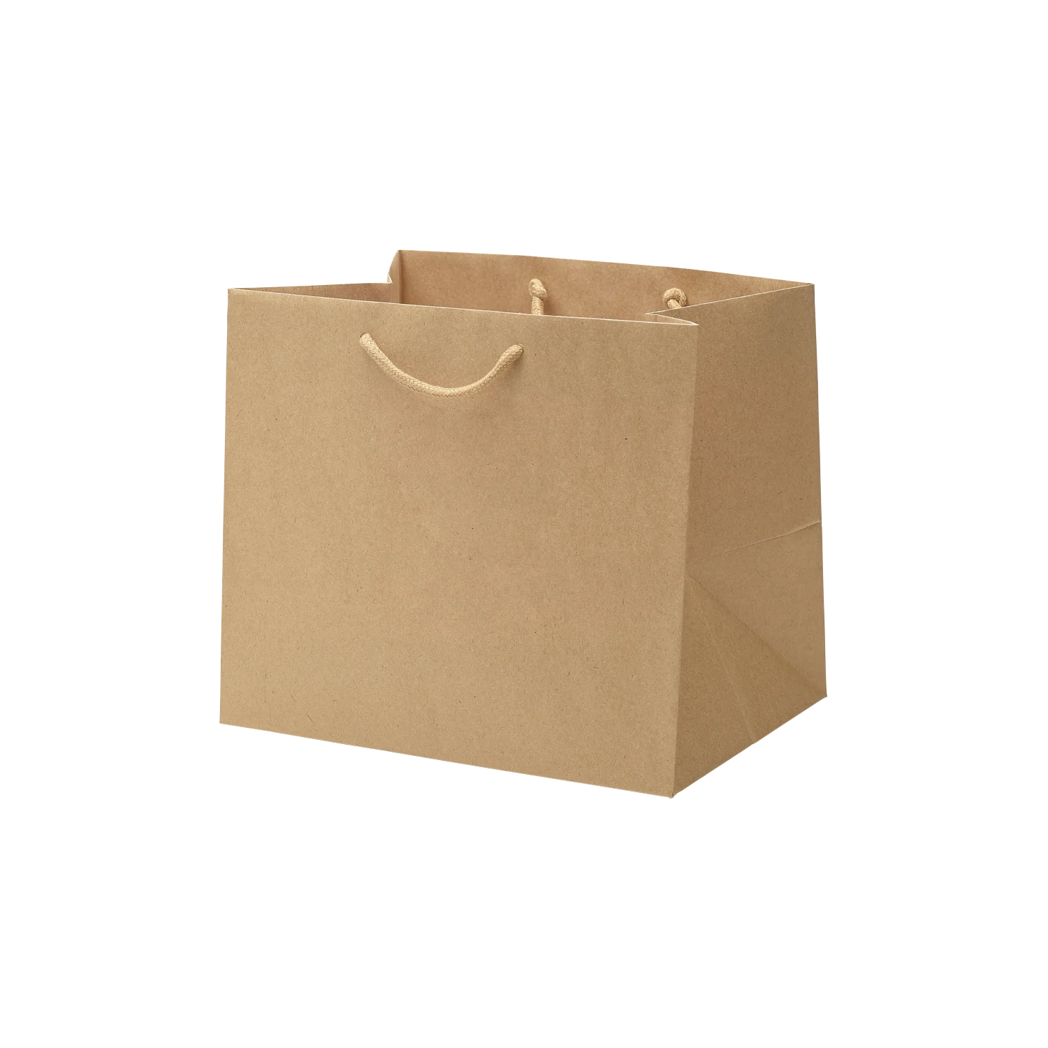 Luxe kraft papieren draagtas