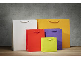 Luxury glossy paper bags