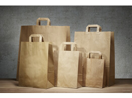 Brown paper bags with flat handle