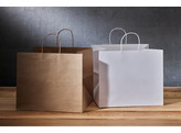 Paper TakeAway bags with twisted handle