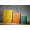 Colored paper bags with twisted handle