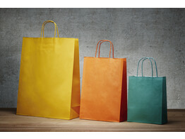Colored paper bags with twisted handle