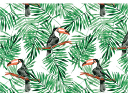 Wrapping Paper TOUCAN