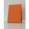 10x10 Cadeau tasjes Papier met daim 16 9x22  4 cm Apricot