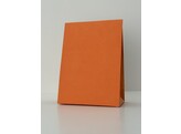 10x10 Cadeau tasjes Papier met daim 16 9x22  4 cm Apricot