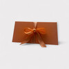 10x10 Voucher Enveloppe 21 5x10 8 1cm Apricot