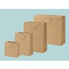 Luxury kraft paper bags