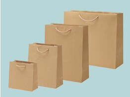 Luxury kraft paper bags