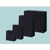 10x10 Luxe kraft pap. draagtas - 41 14x36cm - Died Black