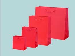 Sacs en papier de luxe brillants en rouge