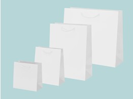 Luxury glossy white paper bags