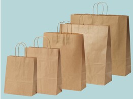 Brown paper bags with twisted handle