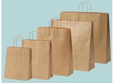 Brown paper bags with twisted handle