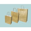 Golden paper bags with twisted paper handles