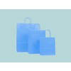 Light blue paper bags with twisted paper handle