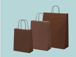 Dark brown paper bags with twisted paper handle