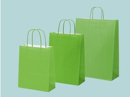 Sacs en papier vert lime avec poignees torsadees