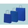 Dark blue paper bags with twisted paper handle