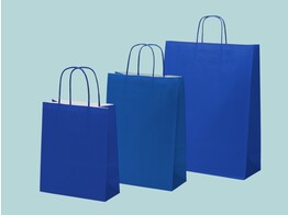 Sacs en papier bleu fonce avec poignees torsadees