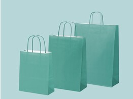 Green paper bags with twisted paper handle