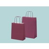 Dark purple paper bags with twisted paper handle