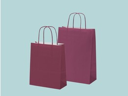 Dark purple paper bags with twisted paper handle