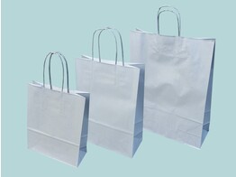 Silver paper bags with twisted paper handles