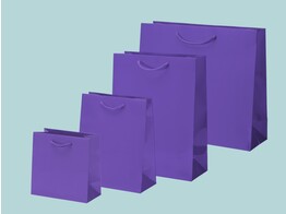 Luxury glossy purple paper bags