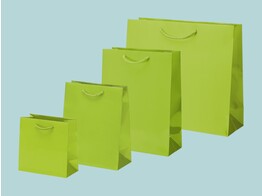 Sacs en papier de luxe brillants en vert lime