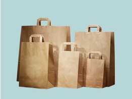 Brown paper bags with flat handle