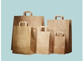 Brown paper bags with flat handle