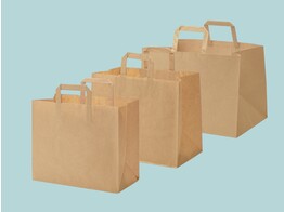 Brown paper TakeAway bags with flat handle