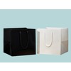 Luxury glossy TakeAway paper bags