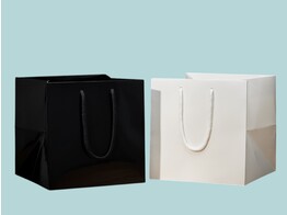 Luxury glossy TakeAway paper bags