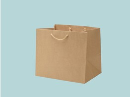 Luxury brown paper Takeway bags