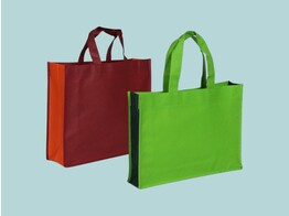 NW 2 colored bags without reinforcemtens