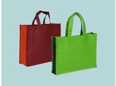 NW 2 colored bags without reinforcemtens