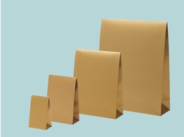 Mat laminated gold paper gift pouches